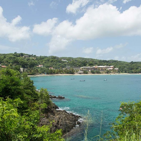 PLU students and staff on a trip to Trinidad and Tobago