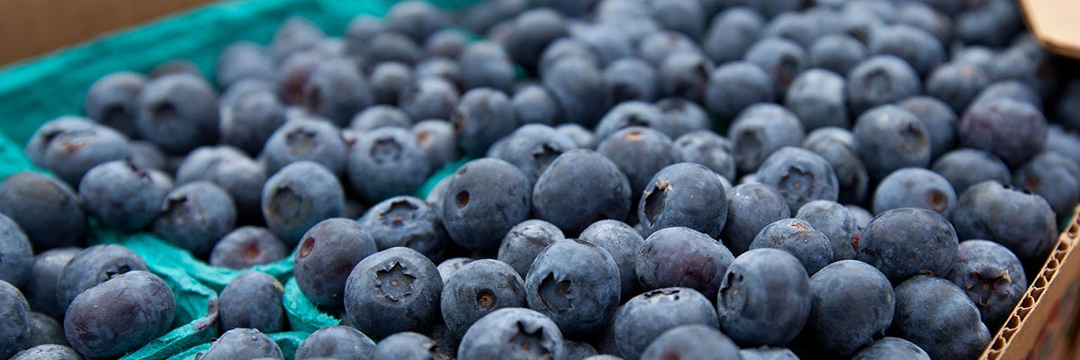 berryfestival