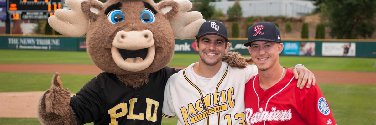 rainiers