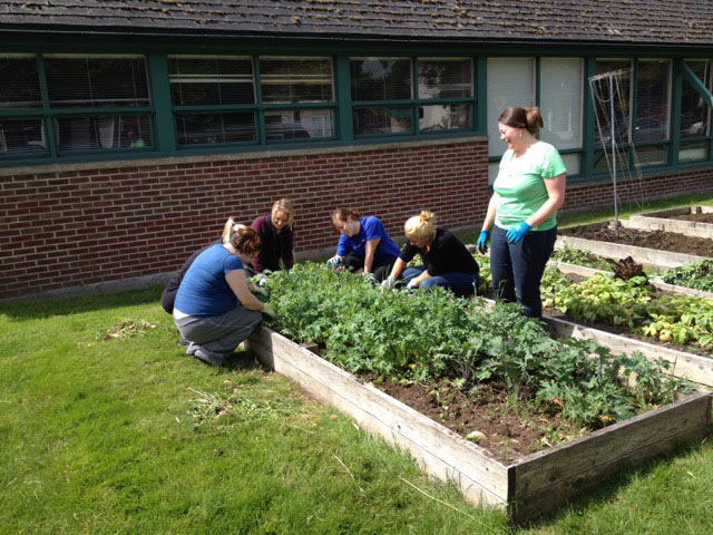 Students and Rachel Haxtema of CCES working in the Trinity Lutheran Garden