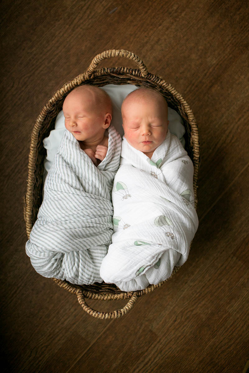 Future Lute Anna (Buzard) Van Pelt Resolute Online Spring 2017