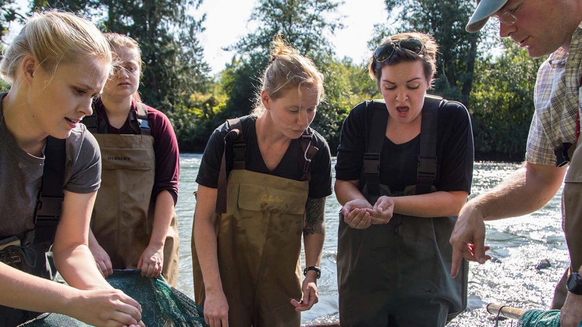 Jacob Egge's biology class collecting specimens in the Nisqually river. Thursday, Sept. 14, 2017. (Photo: John Froschauer/PLU)