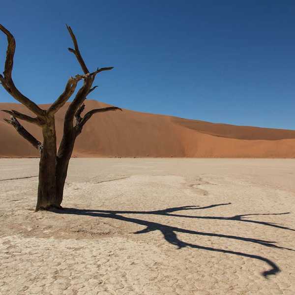 Students studying away in Namibia, Africa on Friday, March 18, 2016. (Photo: John Froschauer/PLU)