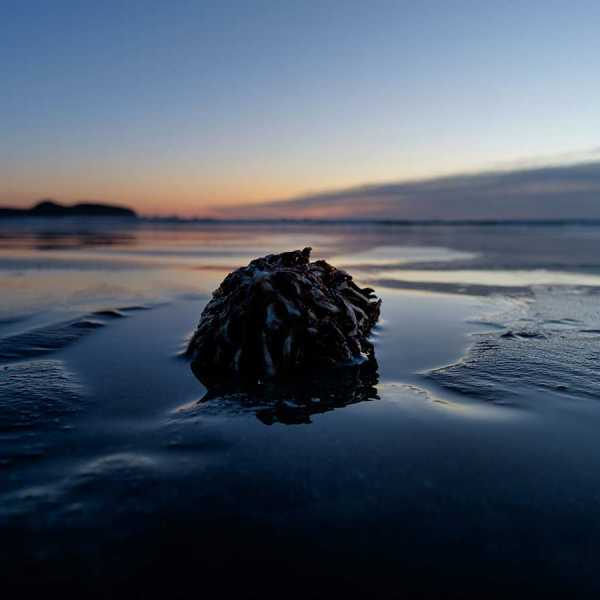 Neah Bay, Wednesday, Jan. 11, 2017. (Photo: John Froschauer/PLU)