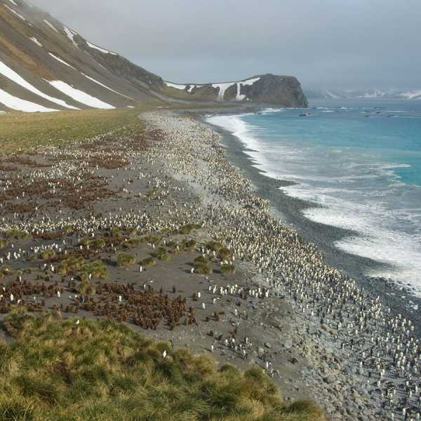 Antarctica (photos by Charles Bergman)