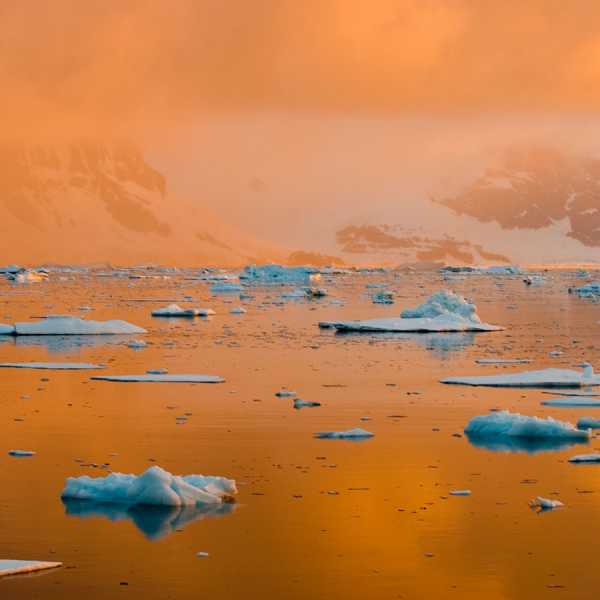 Antarctica (photos by Charles Bergman)