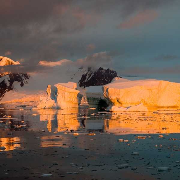 Antarctica (photos by Charles Bergman)