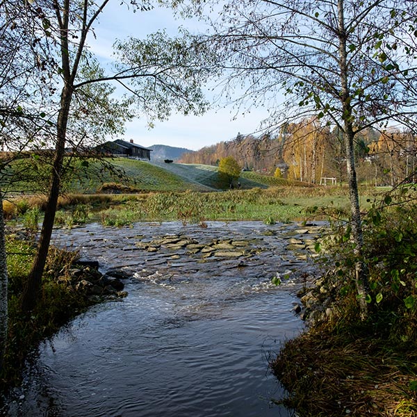 A beautiful stream running through the countryside