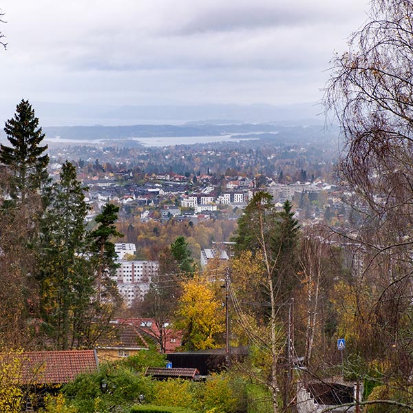 A overlooking view of Oslo, Norway