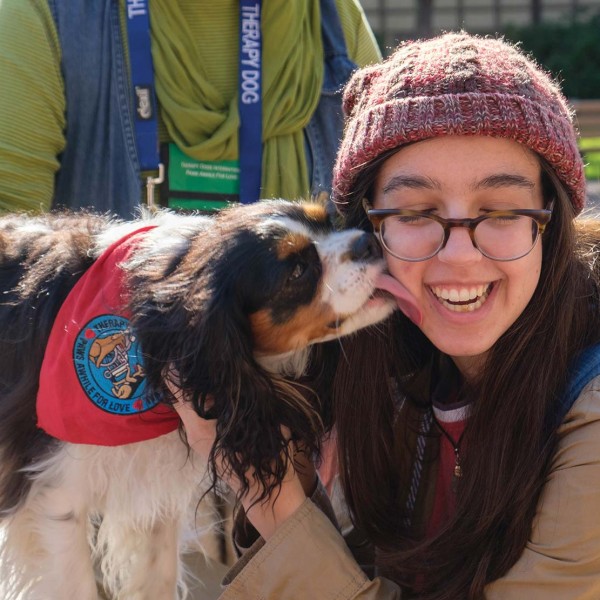 Therapy dogs help calm student jitters heading into midterms.