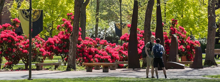 Flowers in bloom on the PLU campus