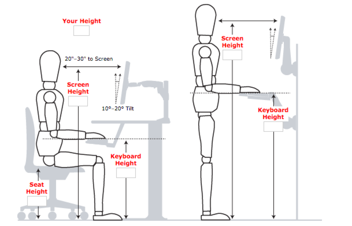 Ergonomics safety plu