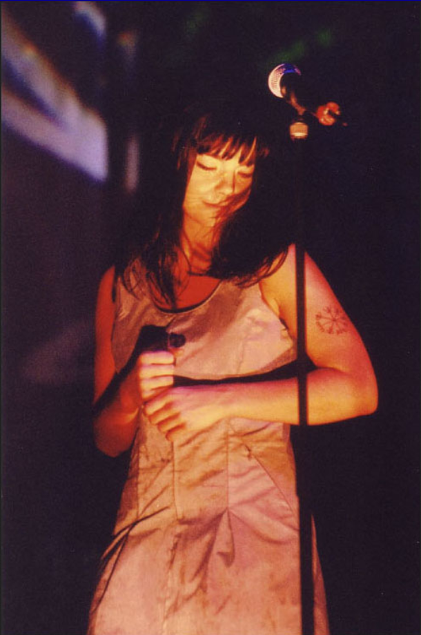 brokrok Bjork performing in a pink dress