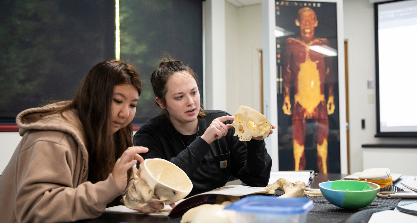 Students in BIO 205 “Human Anatomy and Physiology” use the new virtual dissection table as they study anatomical structure, Thursday, Oct. 6, 2022, at PLU. (PLU Photo / Sy Bean)