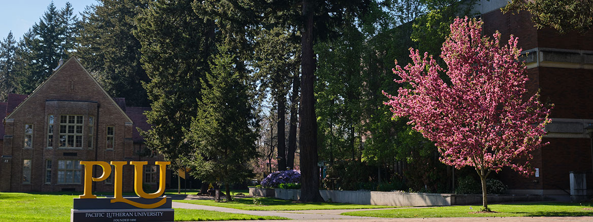 plu-sign-4-20-20-229