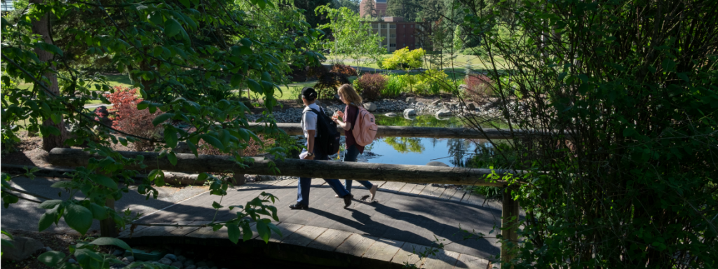 Bridge and pond on lower campus