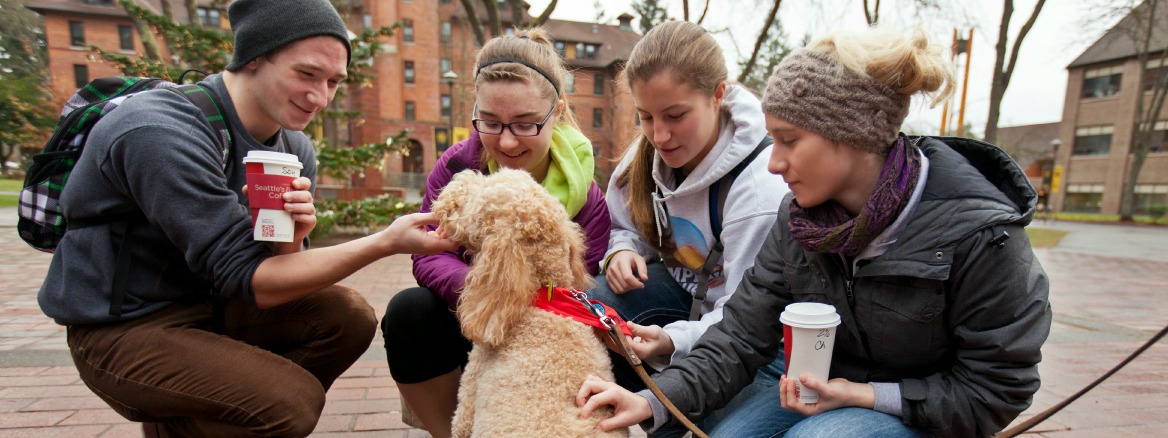 Students petting dog in red square