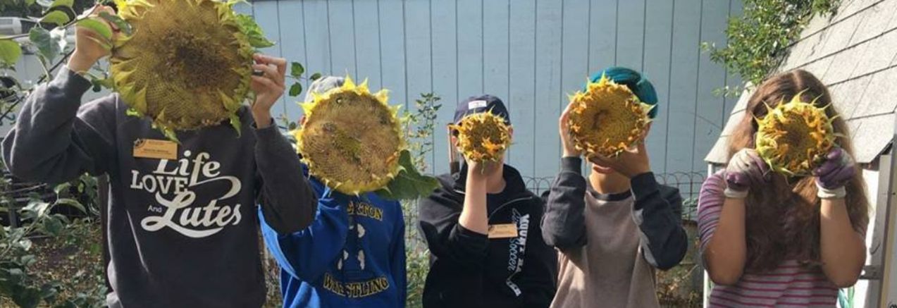 Sustainability Splash banner 2019 Community Garden