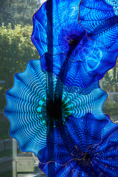 Chihuly roses