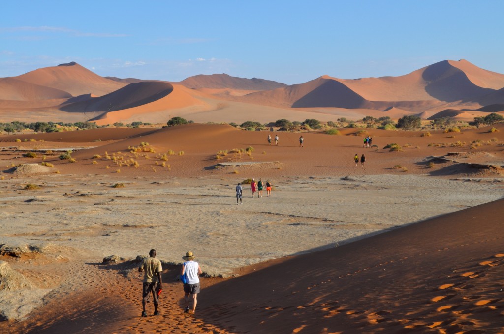 Dunes 23