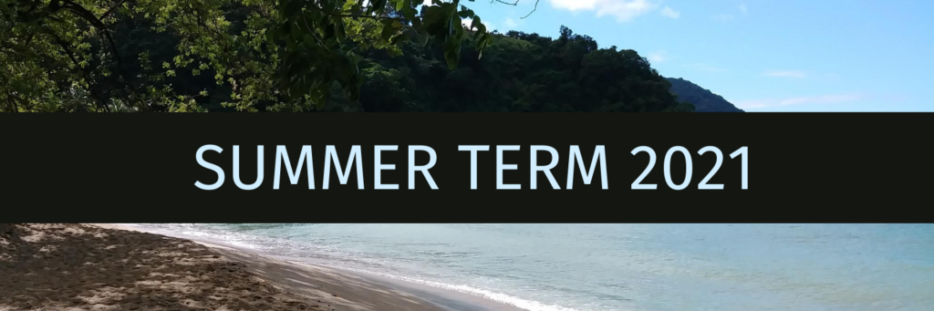 Summer Term 21 banner