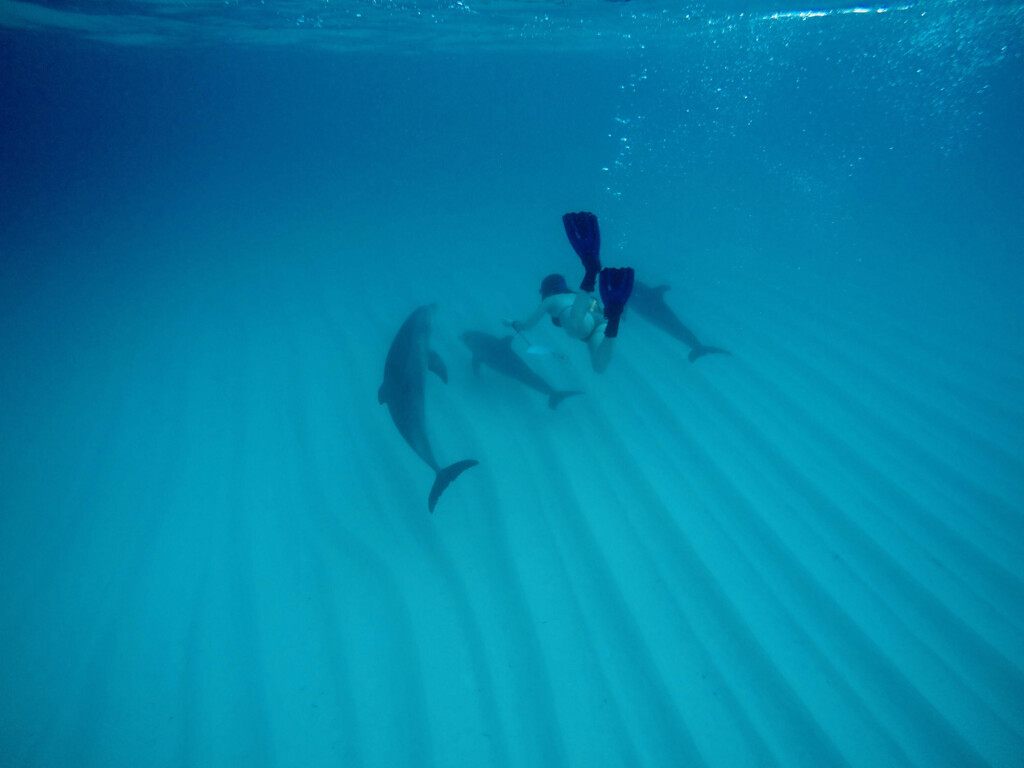 DCIM100GOPROGOPR0086.