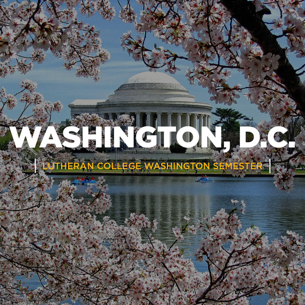 Washington DC photo of capital building
