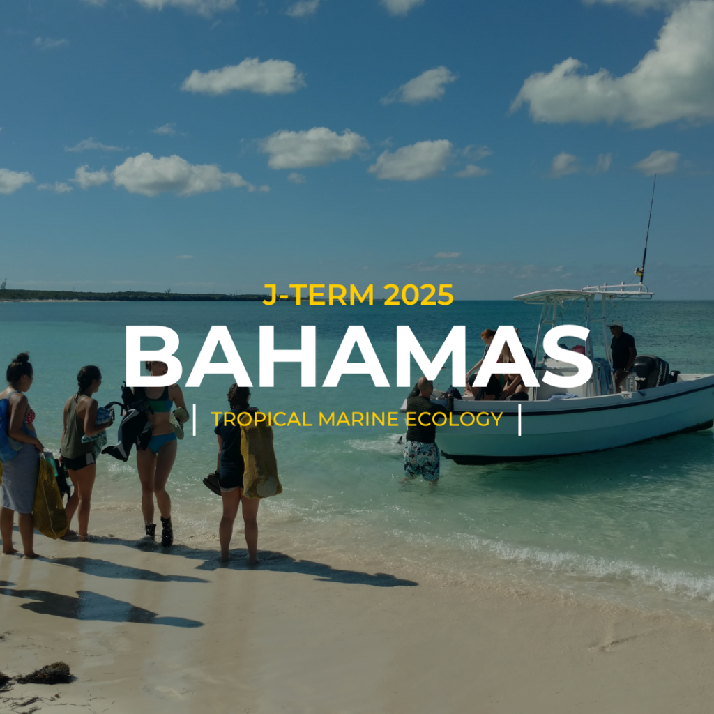 J-Term 2025 Bahamas | Tropical Marine Ecology