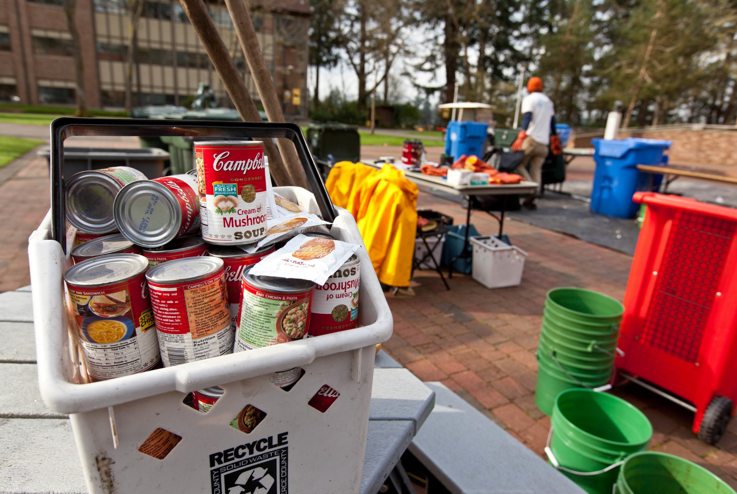 Garbology on Red Square, where grash from different locations is sorted to determine how much is recycleable or compostable at PLU on Tuesday, March 17, 2015. (Photo: John Froschauer/PLU)