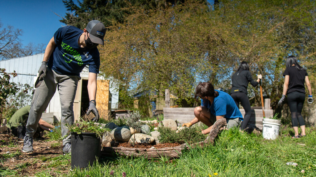 PLU Community Garden-12