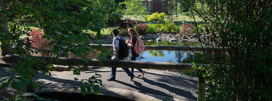 The birdge on lower campus below the Adnerson University Center.