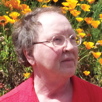 Judith Kitchen author Judith Kitchen author