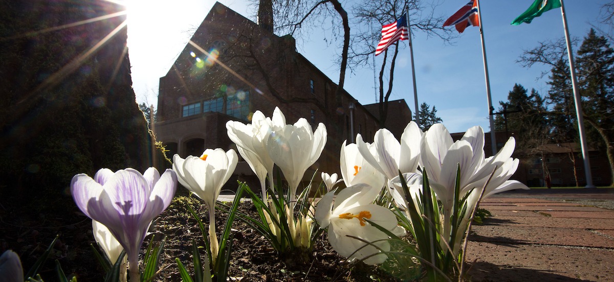 KHP during spring sunshine