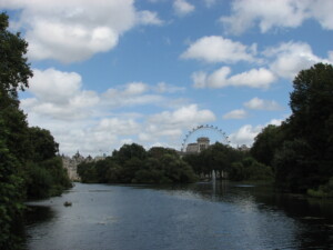 IMG_1122 3 (1)