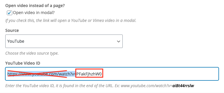 Teaser Video Settings