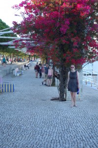 2017 Spain and Portugal University Wind Ensemble Trip - A group of people pose with vines near a waterfront.