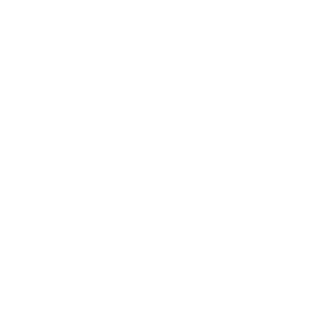 Rose Window sun illustration